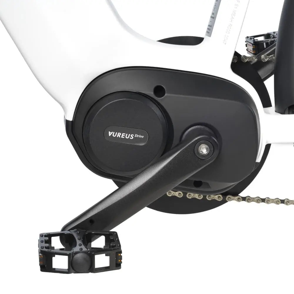 E-Bike AUREUSDRIVE DailyDrive – Tiefer Einstieg 45 km/h