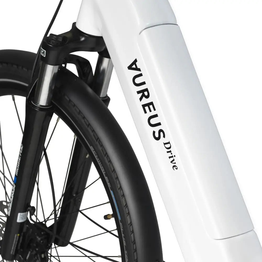 E-Bike AUREUSDRIVE DailyDrive – Tiefer Einstieg 45 km/h