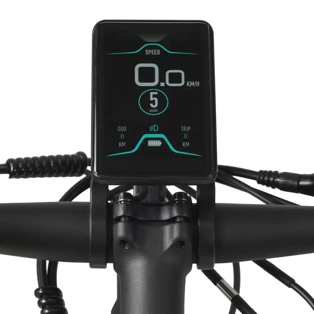 E-Bike AUREUSDRIVE DailyDrive – Tiefer Einstieg 45 km/h