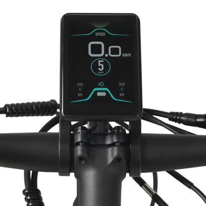 E-Bike AUREUSDRIVE DailyDrive – Tiefer Einstieg 45 km/h
