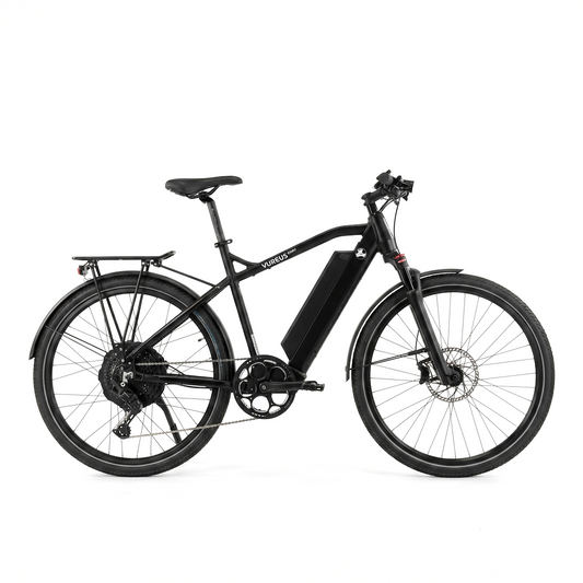E-Bike AureusDrive Power45 45 km/h Schwarz Hoher Einstieg M