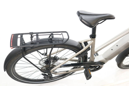 E-Bike BIXS Campus E30 GOR 25km/h Warm Silver M (48)