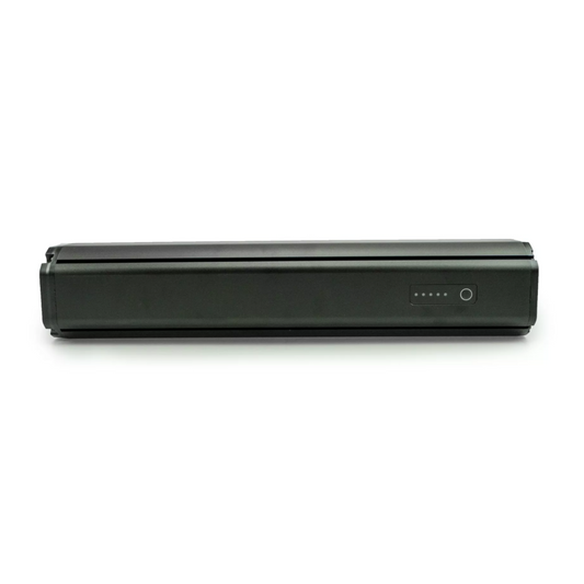 Panasonic Flyer FIT 2.0 TP 48V 14Ah 700Wh Unterrohrakku