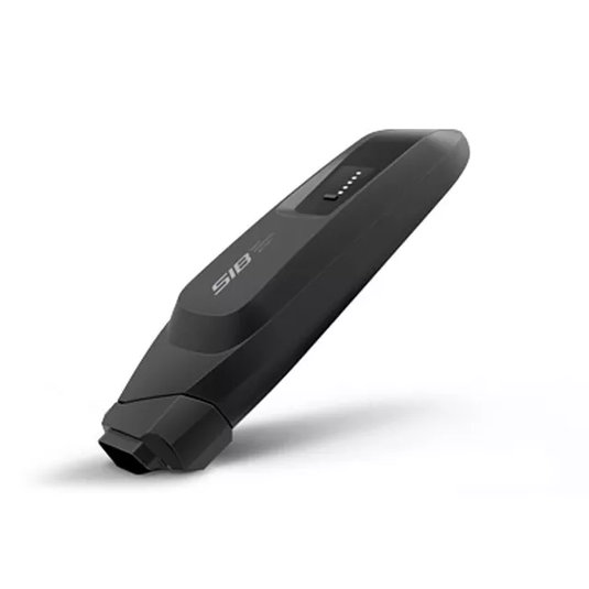 Panasonic Flyer SIB 1.0 36V 12Ah 432Wh Unterrohrakku