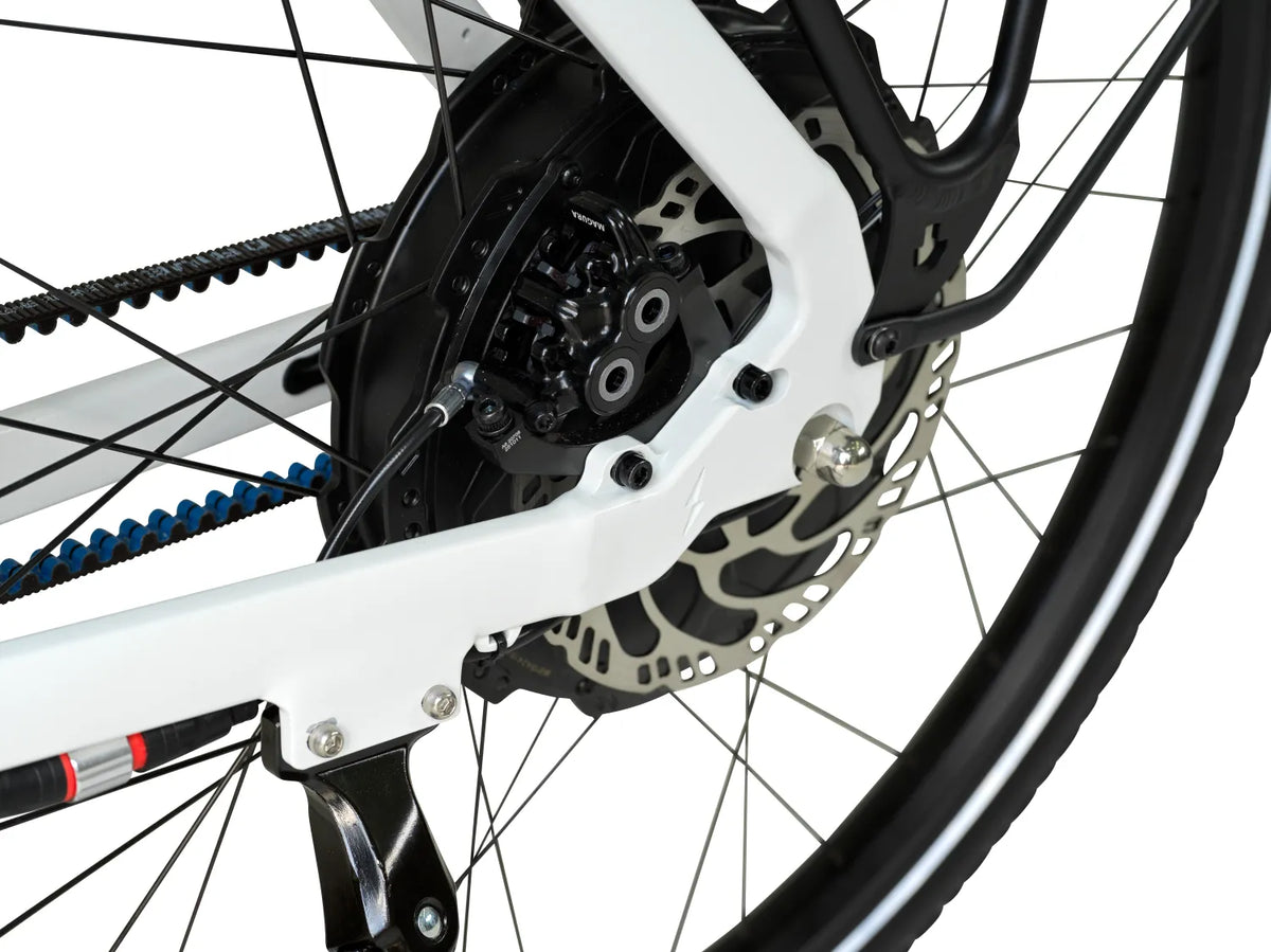 AureusDrive PowerDrive Detail Hinterrad und Riemenantrieb