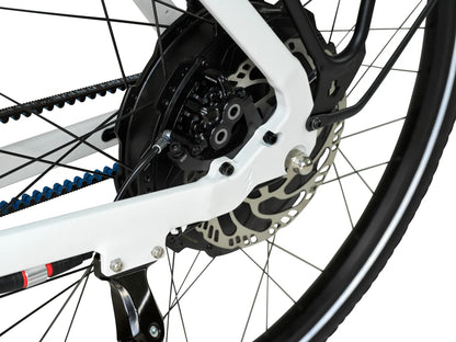AureusDrive PowerDrive Detail Hinterrad und Riemenantrieb