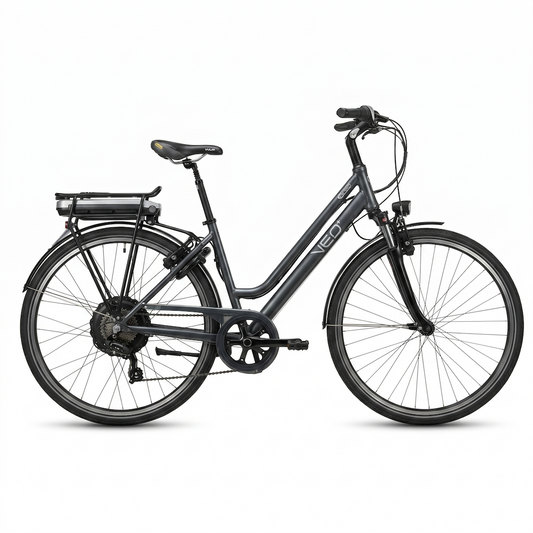 E-Bike VEO GoSwiss Drive 45 km/h Schwarz 45 cm