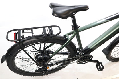 E-Bike ZENITH X-SUV 25 km/h Grün M (48)