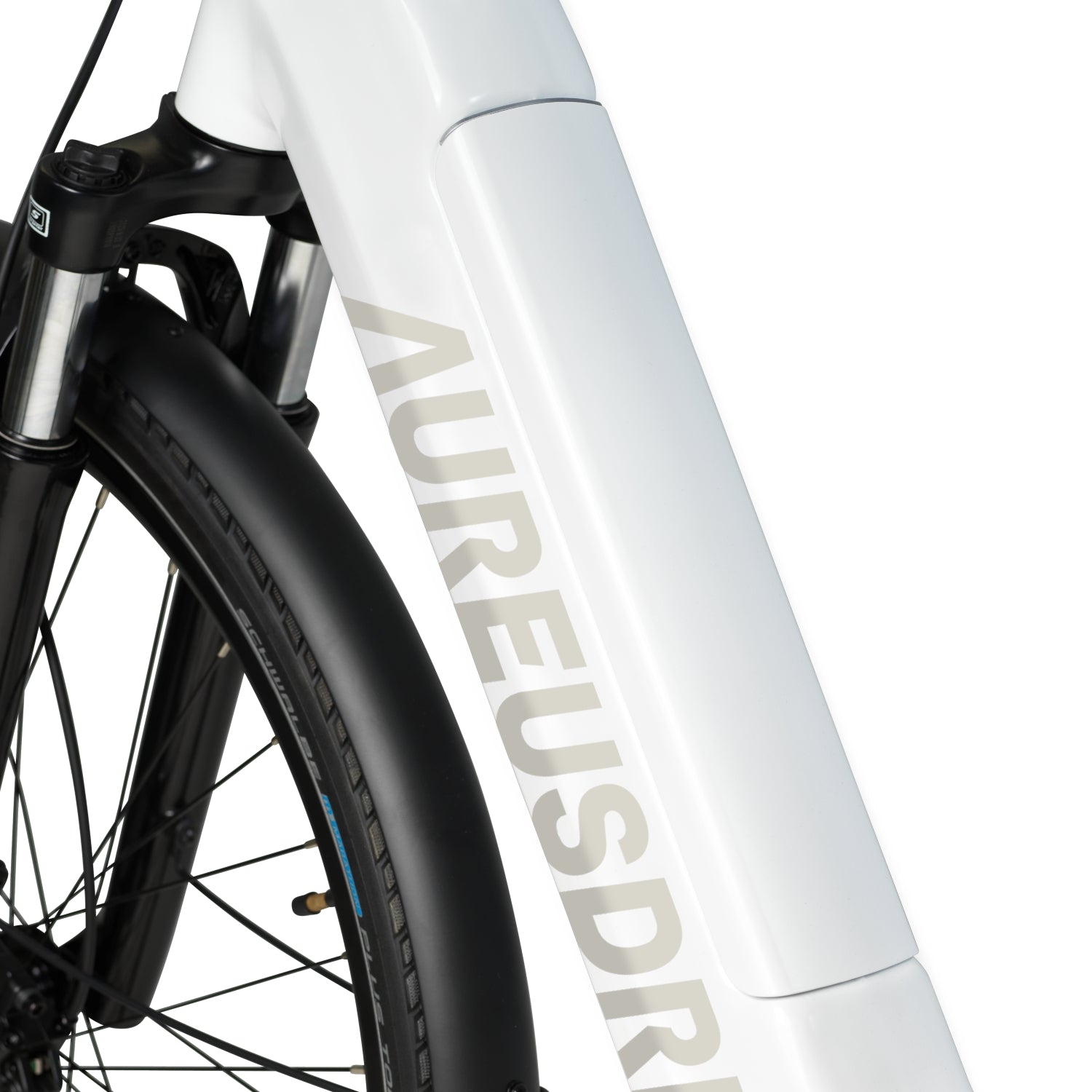 AureusDrive DailyDrive Plus Detail Akkuintegration im Rahmen (Tiefer Einstieg)