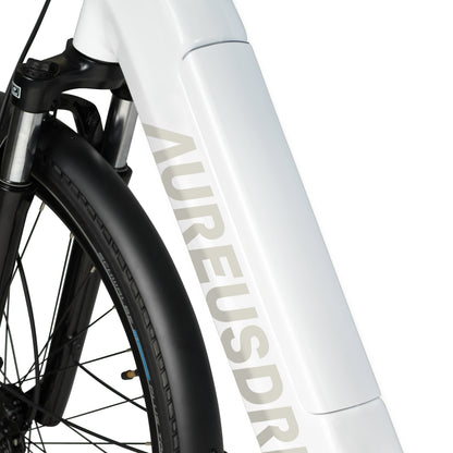 AureusDrive DailyDrive Plus Detail Akkuintegration im Rahmen (Tiefer Einstieg)