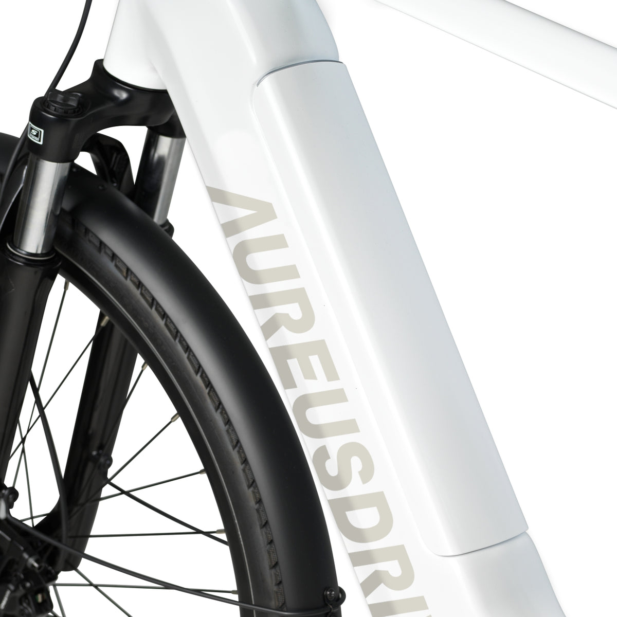 AureusDrive DailyDrive integrierter Akku im Unterrohr Detail