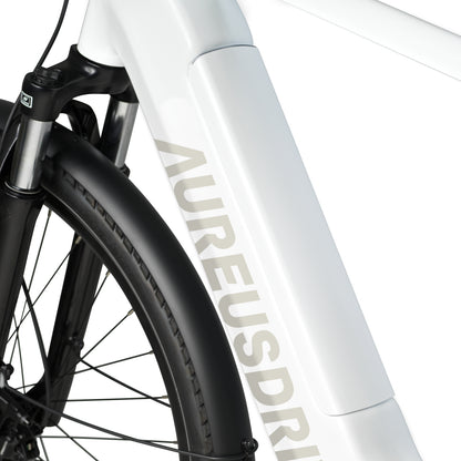 AureusDrive DailyDrive integrierter Akku im Unterrohr Detail