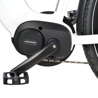 AureusDrive DailyDrive Aureus-Mid-Drive Mittelmotor Detail