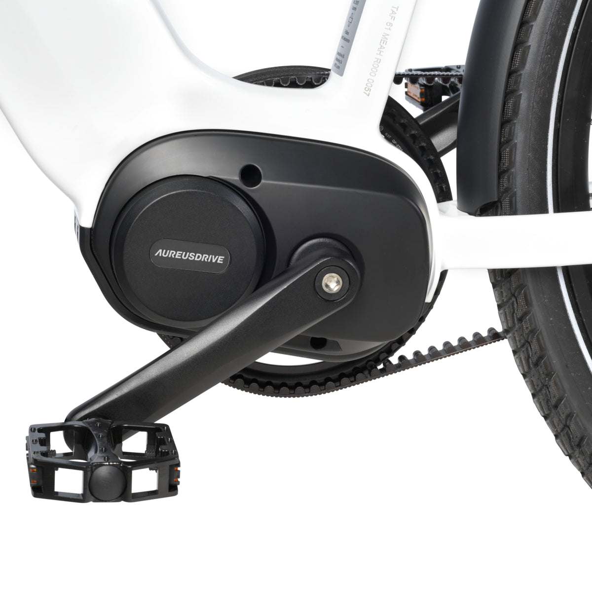AureusDrive DailyDrive Aureus-Mid-Drive Mittelmotor mit Riemenantrieb Detail