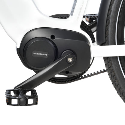 AureusDrive DailyDrive Aureus-Mid-Drive Mittelmotor mit Riemenantrieb Detail