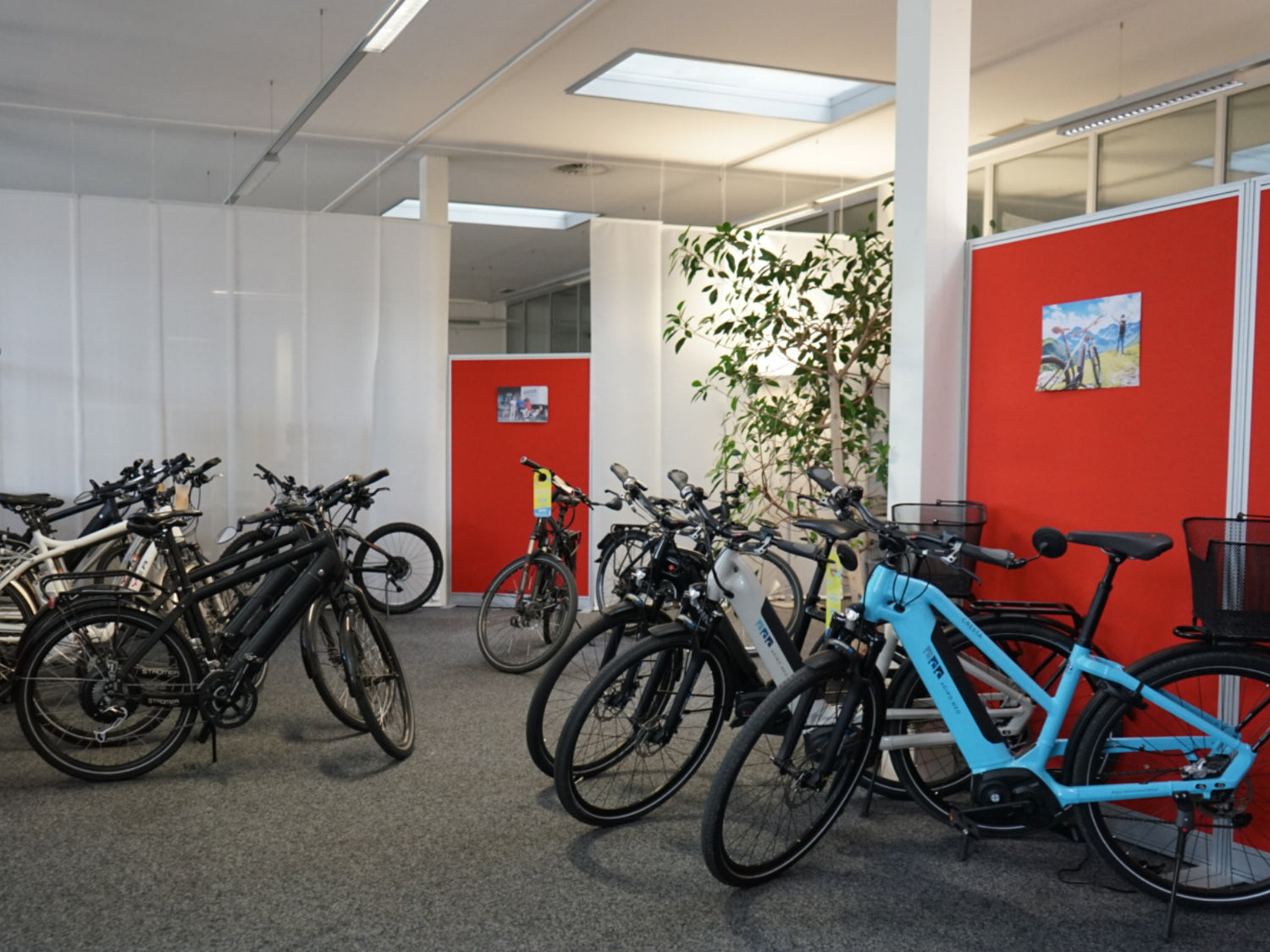 Verkaufsfläche von upVolt mit aufbereiteten E-Bikes verschiedener Marken im hellen Innenraum mit roten Akzentwänden.